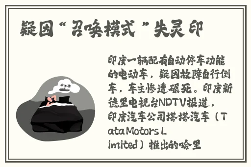 精品国际久久久久999波多野